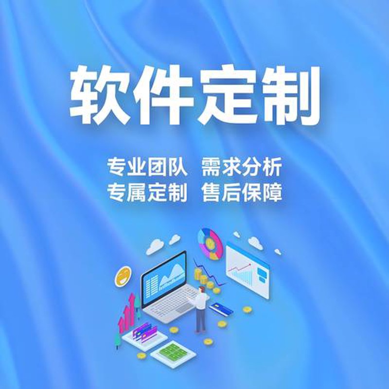 软件开发定制：引领企业数字化转型
