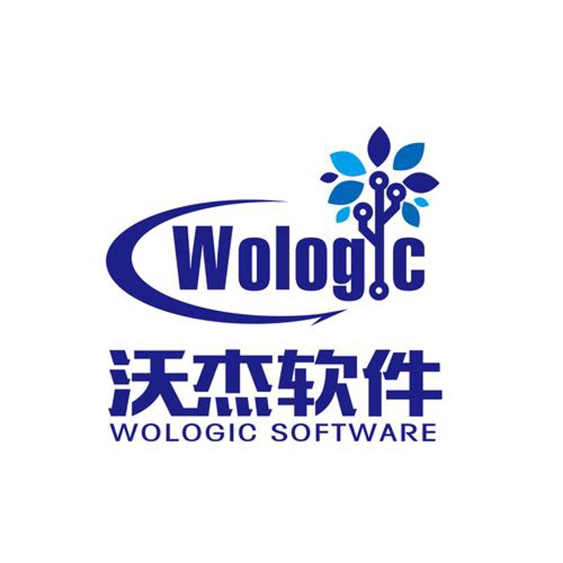 上海软件开发：引领未来科技潮流